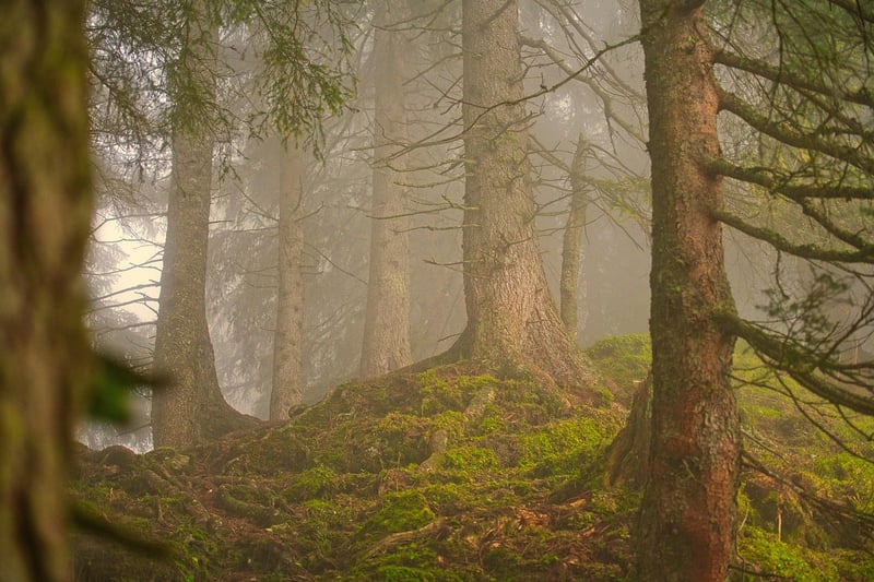 Sustainable Practices in Business